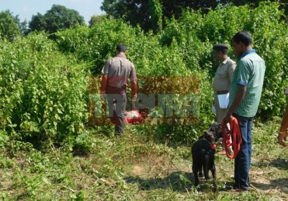 Joyshankar murderer sent for 5 day Police Custody Joyshankar murderer sent for 5 day Police Custody